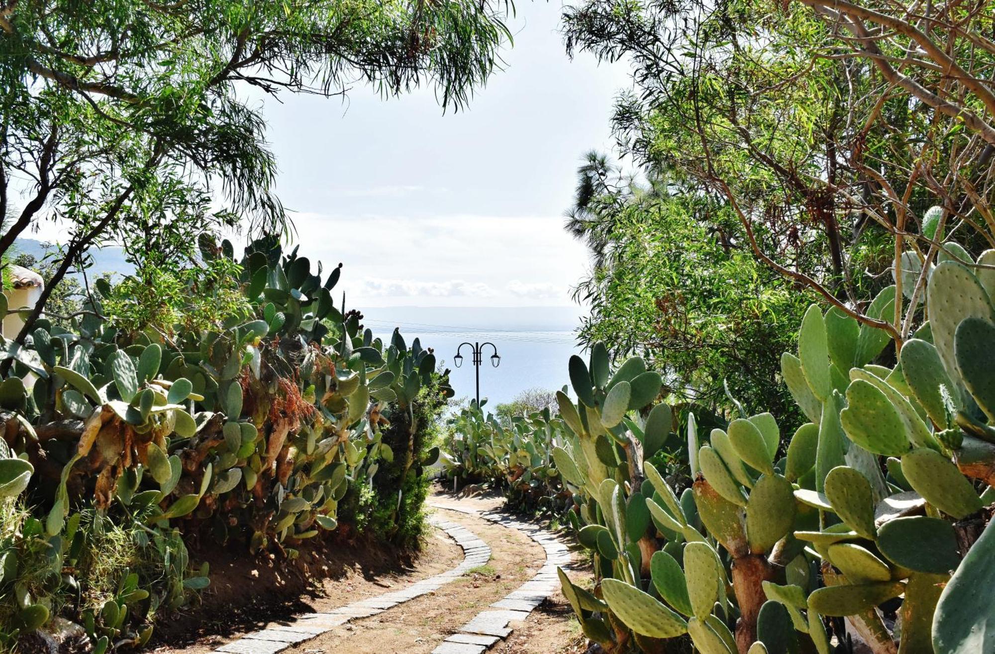 קאפו ואטיצ'אנו Calabria Beach Villa'S מראה חיצוני תמונה